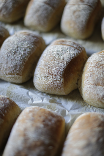 Freshly baked rolls